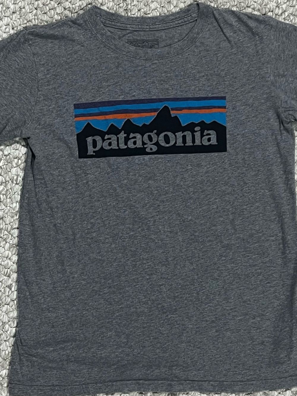 Patagonia Tee Shirt Top Youth Medium 10 Surfer Mountain Hiking Causal Logo Gray